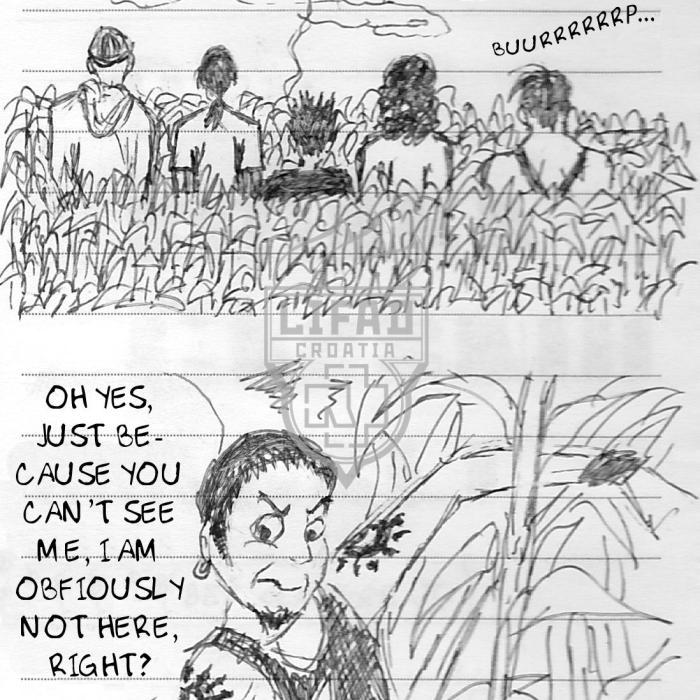 Corn Field